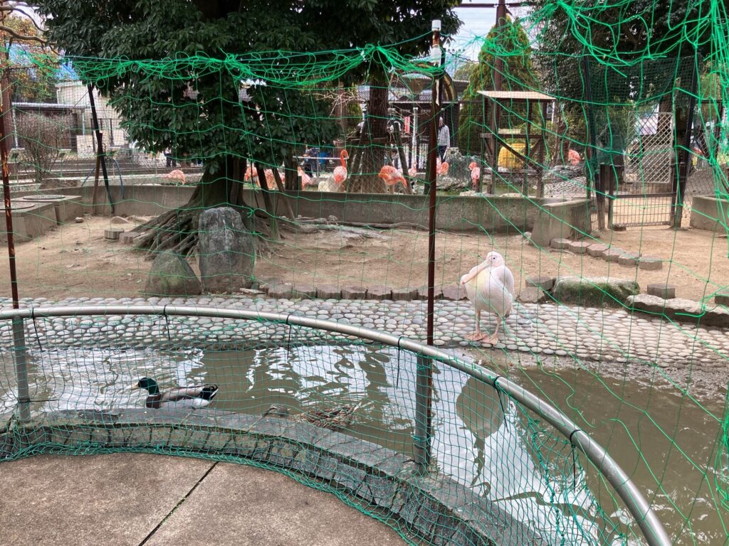 久留米市 鳥類センター 雰囲気