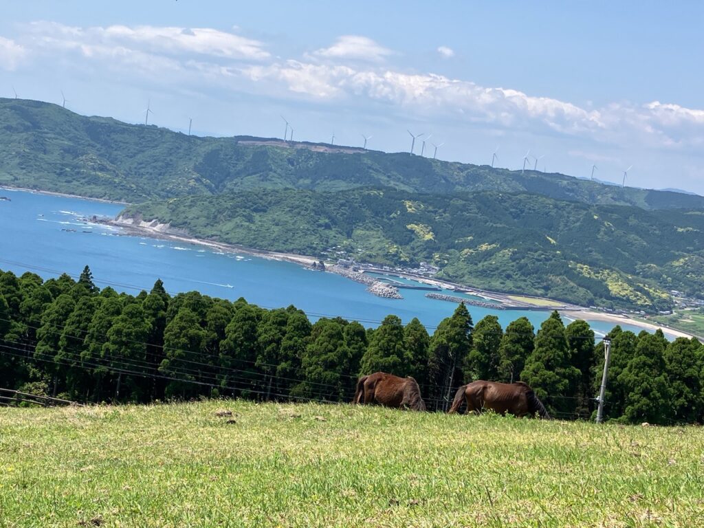 都井岬