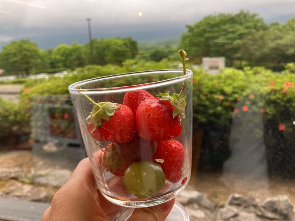 休暇村南阿蘇　バイキング