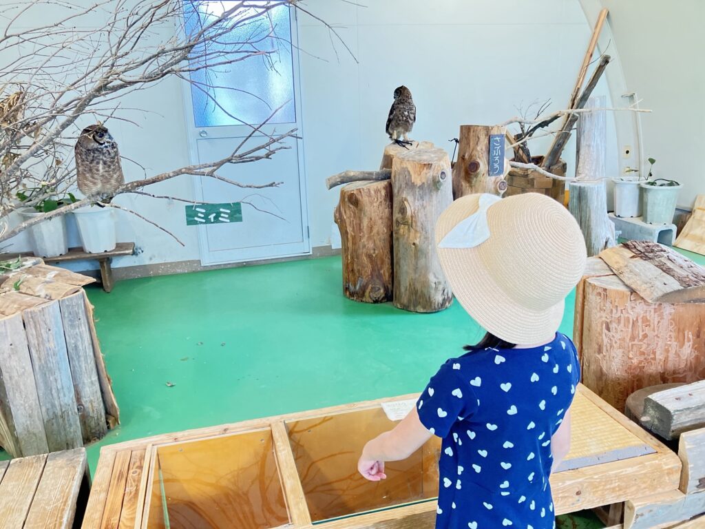 阿蘇ミルクファーム ふれあい動物園