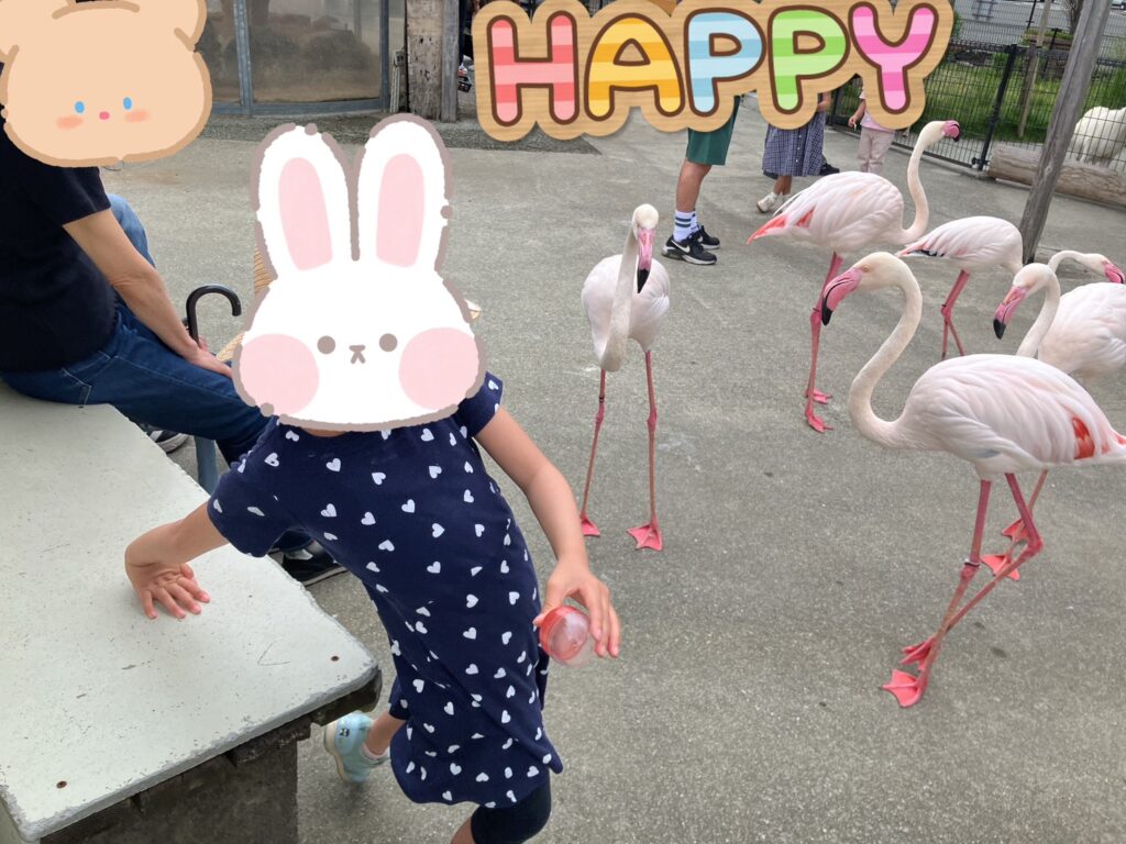 阿蘇ミルクファーム ふれあい動物園