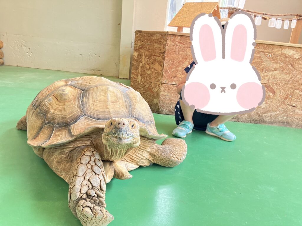 阿蘇ミルクファーム ふれあい動物園